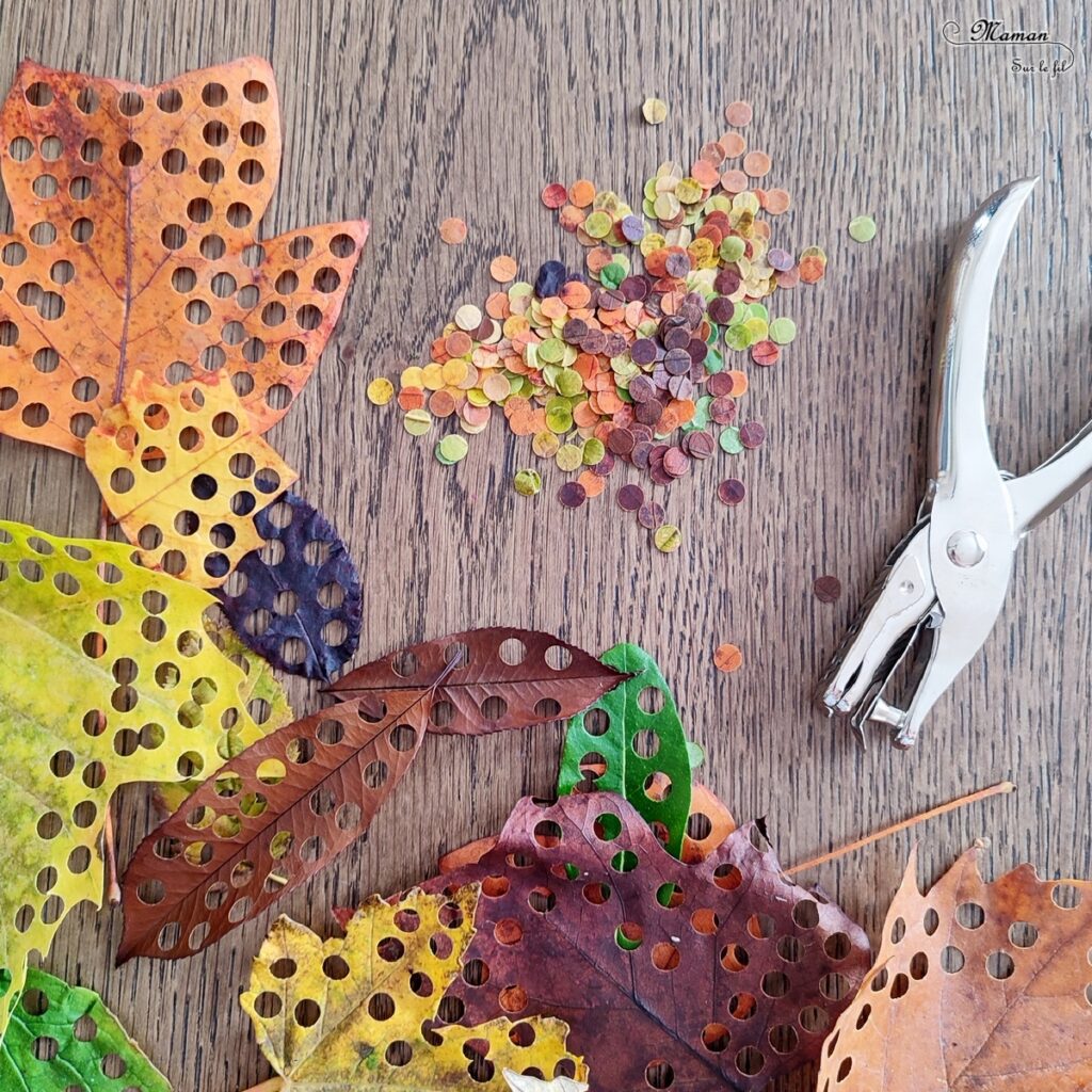 Activité créative et manuelle enfants - Fabriquer une boule à neige automnale avec un vieux bocal - Récup' et Nature - Arbre et feuilles d'automne - Perforer des feuilles mortes - Perforatrice et motricité fine - Thème Automne - Bricolage et décoration facile et rapide - Arts visuels et atelier Maternelle et élémentaire - Créativité - Cycle 1 ou 2 - tutoriel photos - mslf