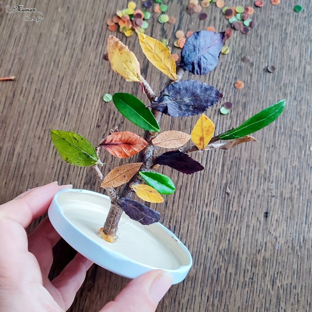 Activité créative et manuelle enfants - Fabriquer une boule à neige automnale avec un vieux bocal - Récup' et Nature - Arbre et feuilles d'automne - Perforer des feuilles mortes - Perforatrice et motricité fine - Thème Automne - Bricolage et décoration facile et rapide - Arts visuels et atelier Maternelle et élémentaire - Créativité - Cycle 1 ou 2 - tutoriel photos - mslf