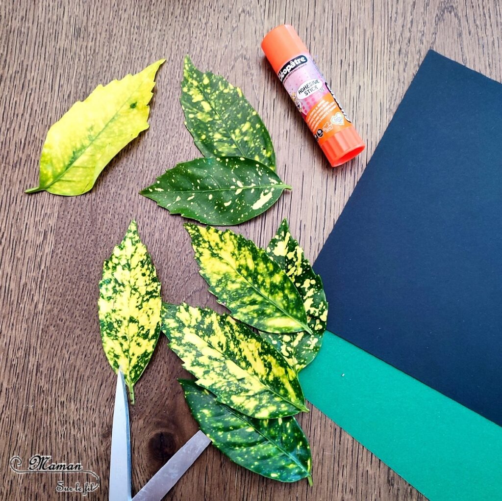 Activité créative et manuelle enfants - Créer des tableaux méli-mélo de feuilles d'automne - Land art avec la nature - Ramassage, découpage et collage de feuilles mortes - Travail sur les formes et les couleurs - Créations automnales Cadres en papier et carton - Récup', recyclage, surcyclage - Arts visuels - Bricolage - Thème Automne, forêt, arbres - Bricolage facile et rapide - Arts visuels et atelier Maternelle et élémentaire - Créativité - Cycle 1 ou 2 - tutoriel photos - mslf