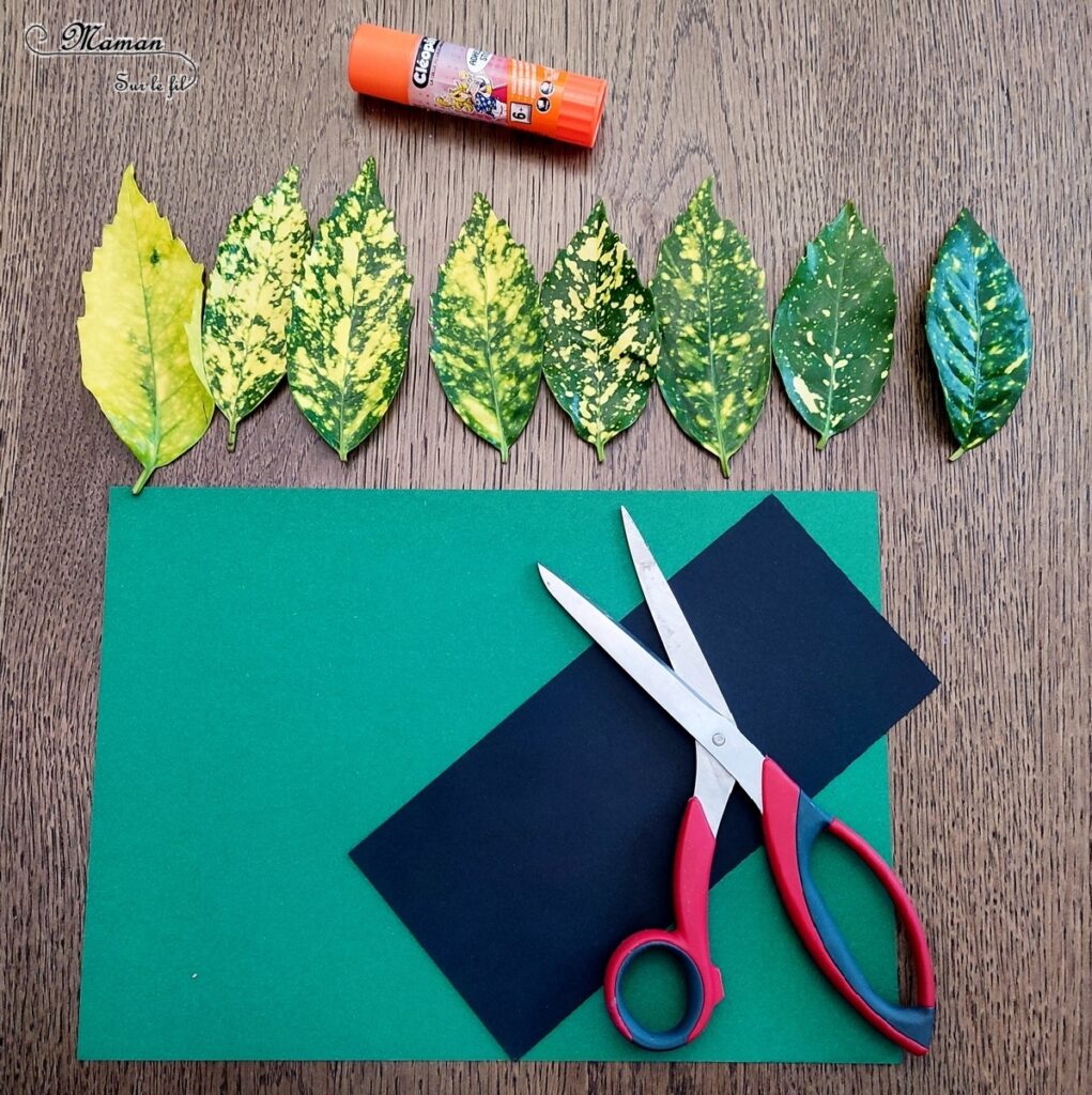 Activité créative et manuelle enfants - Créer des tableaux méli-mélo de feuilles d'automne - Land art avec la nature - Ramassage, découpage et collage de feuilles mortes - Travail sur les formes et les couleurs - Créations automnales Cadres en papier et carton - Récup', recyclage, surcyclage - Arts visuels - Bricolage - Thème Automne, forêt, arbres - Bricolage facile et rapide - Arts visuels et atelier Maternelle et élémentaire - Créativité - Cycle 1 ou 2 - tutoriel photos - mslf