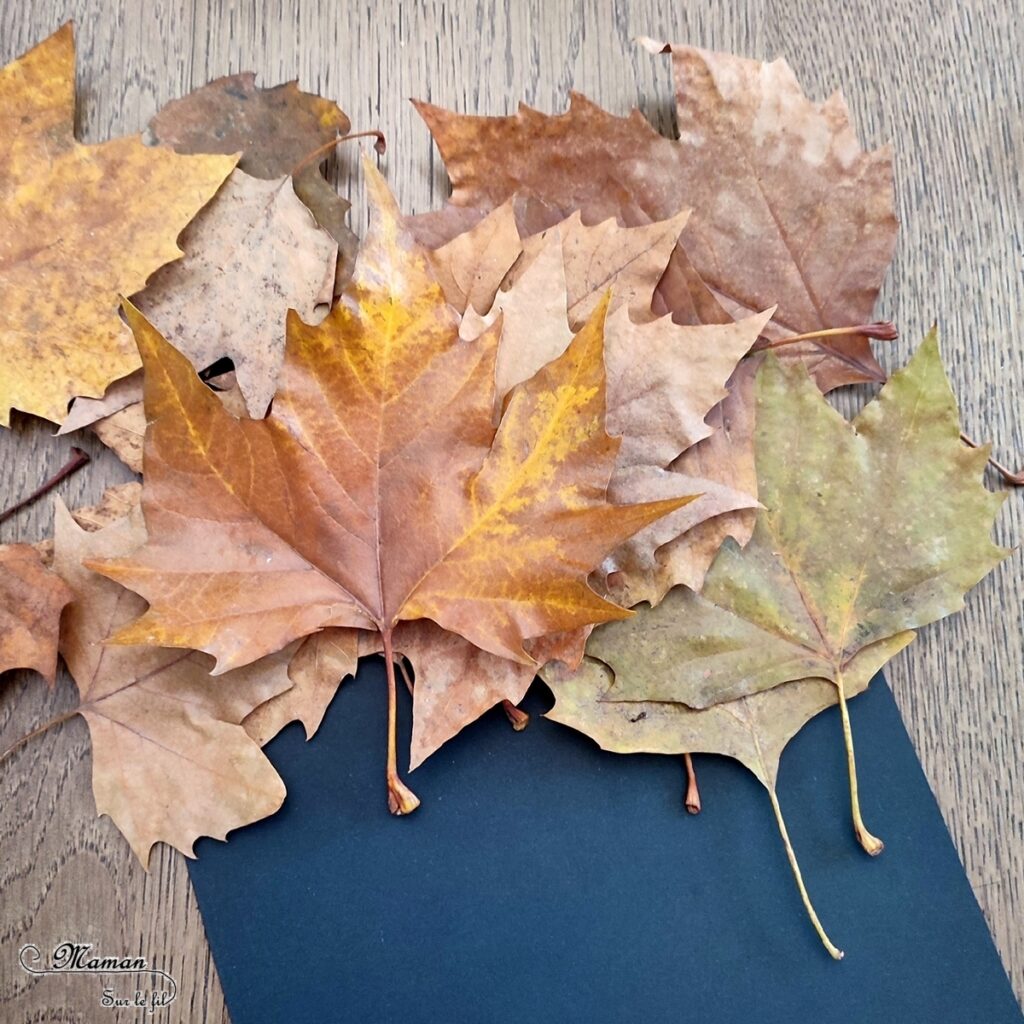 Activité créative et manuelle enfants - Créer des tableaux méli-mélo de feuilles d'automne - Land art avec la nature - Ramassage, découpage et collage de feuilles mortes - Travail sur les formes et les couleurs - Créations automnales Cadres en papier et carton - Récup', recyclage, surcyclage - Arts visuels - Bricolage - Thème Automne, forêt, arbres - Bricolage facile et rapide - Arts visuels et atelier Maternelle et élémentaire - Créativité - Cycle 1 ou 2 - tutoriel photos - mslf