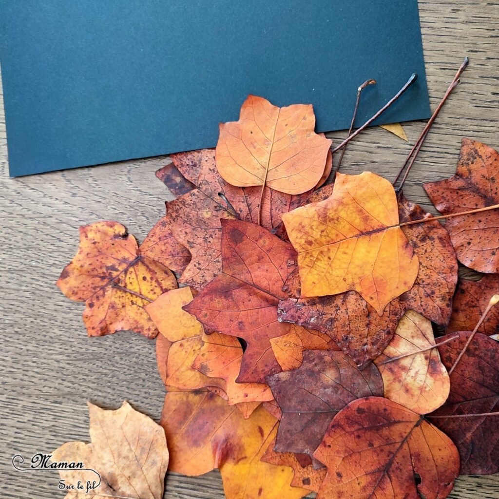 Activité créative et manuelle enfants - Créer des tableaux méli-mélo de feuilles d'automne - Land art avec la nature - Ramassage, découpage et collage de feuilles mortes - Travail sur les formes et les couleurs - Créations automnales Cadres en papier et carton - Récup', recyclage, surcyclage - Arts visuels - Bricolage - Thème Automne, forêt, arbres - Bricolage facile et rapide - Arts visuels et atelier Maternelle et élémentaire - Créativité - Cycle 1 ou 2 - tutoriel photos - mslf