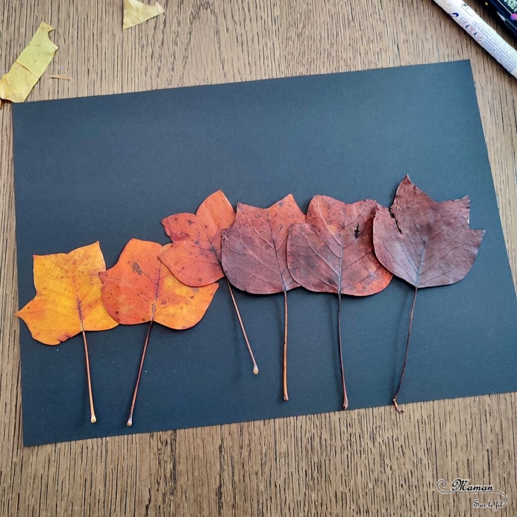 Activité créative et manuelle enfants - Créer des tableaux méli-mélo de feuilles d'automne - Land art avec la nature - Ramassage, découpage et collage de feuilles mortes - Travail sur les formes et les couleurs - Créations automnales Cadres en papier et carton - Récup', recyclage, surcyclage - Arts visuels - Bricolage - Thème Automne, forêt, arbres - Bricolage facile et rapide - Arts visuels et atelier Maternelle et élémentaire - Créativité - Cycle 1 ou 2 - tutoriel photos - mslf