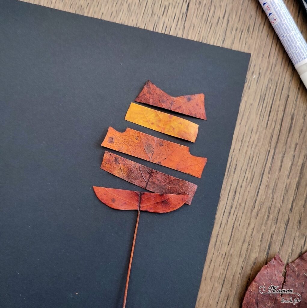 Activité créative et manuelle enfants - Créer des tableaux méli-mélo de feuilles d'automne - Land art avec la nature - Ramassage, découpage et collage de feuilles mortes - Travail sur les formes et les couleurs - Créations automnales Cadres en papier et carton - Récup', recyclage, surcyclage - Arts visuels - Bricolage - Thème Automne, forêt, arbres - Bricolage facile et rapide - Arts visuels et atelier Maternelle et élémentaire - Créativité - Cycle 1 ou 2 - tutoriel photos - mslf