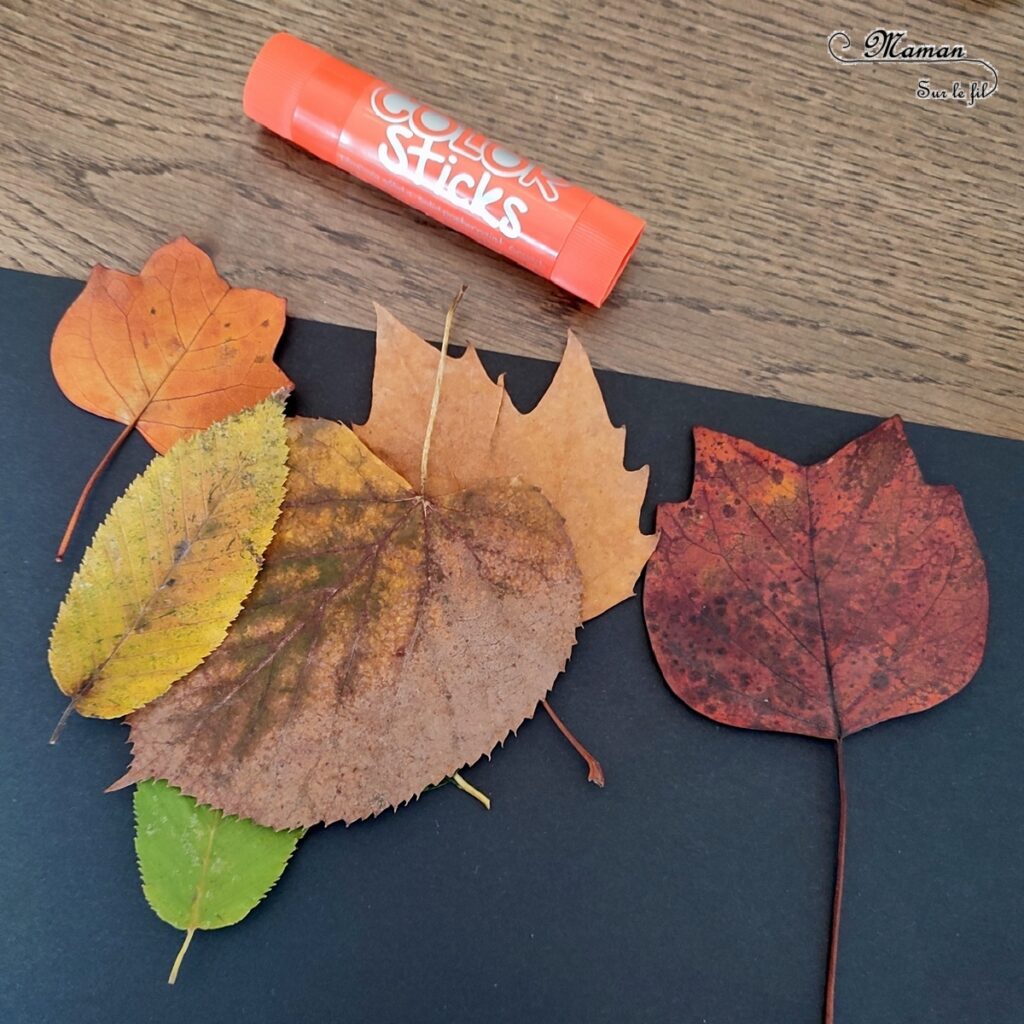 Activité créative et manuelle enfants - Empreintes de feuilles à la peinture et contours - Peindre avec de la gouache en stick et la nature - feuilles mortes d'automne - Dessin et graphisme - Effet aborigène pour un tableau automnal - Land art, atelier nature - Arts visuels - Bricolage - Thème Automne, forêt, arbres - Bricolage facile et rapide - Arts visuels et atelier Maternelle et élémentaire - Créativité - Cycle 1 ou 2 - tutoriel photos - mslf