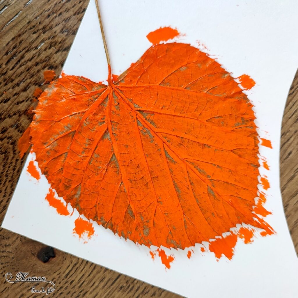 Activité créative et manuelle enfants - Empreintes de feuilles à la peinture et contours - Peindre avec de la gouache en stick et la nature - feuilles mortes d'automne - Dessin et graphisme - Effet aborigène pour un tableau automnal - Land art, atelier nature - Arts visuels - Bricolage - Thème Automne, forêt, arbres - Bricolage facile et rapide - Arts visuels et atelier Maternelle et élémentaire - Créativité - Cycle 1 ou 2 - tutoriel photos - mslf