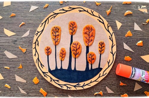 Activité créative et manuelle enfants - Créer des arbres d'automne avec des épluchures de clémentines - Tableau automnal avec des peaux de mandarines - Découpage, collage et dessin - Arts visuels en cercle - Bricolage Nature et récup' - Sensoriel, bonne odeur - Thème Automne, forêt, arbres, Fruits, Alimentation - Bricolage facile et rapide - Arts visuels et atelier Maternelle et élémentaire - Créativité - Cycle 1 ou 2 - tutoriel photos - mslf