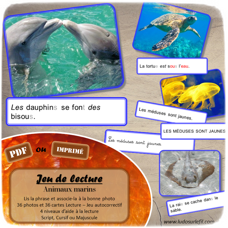 Jeu de lecture - Animaux marins - Mer et plage - Lis les phrases sur les cartes et associe-les à la bonne photo - Lecture de phrases, fluence et compréhension de l'écrit - 4 niveaux d'aide à la lecture - Eté - Lexique et Vocabulaire - Atelier autocorrectif apprentissage lecture - Cycle 2 - 36 photos - PDF à télécharger et à imprimer ou jeu imprimé - Atelier autonome - lslf