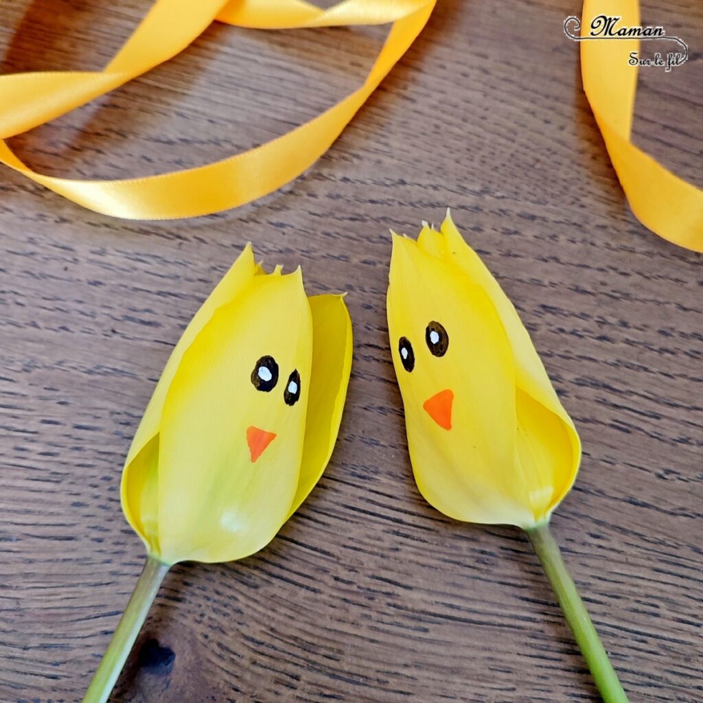 Créer des tulipes Poussins à offrir : activité créative, nature et manuelle enfants - Dessin sur une tulipe jaune pour créer un visage de poussin - noeud avec un ruban pour offrir la fleur - Transition entre printemps et Pâques - Land Art - Fleurs du jardin - Décoration - Jardinage - Arts visuels et Bricolage - Thème Pâques, fleurs, jardin, printemps et animaux de la ferme - Bricolage facile et rapide - Arts visuels et atelier Maternelle et élémentaire - Créativité - Cycle 1 ou 2 - tutoriel photos - mslf