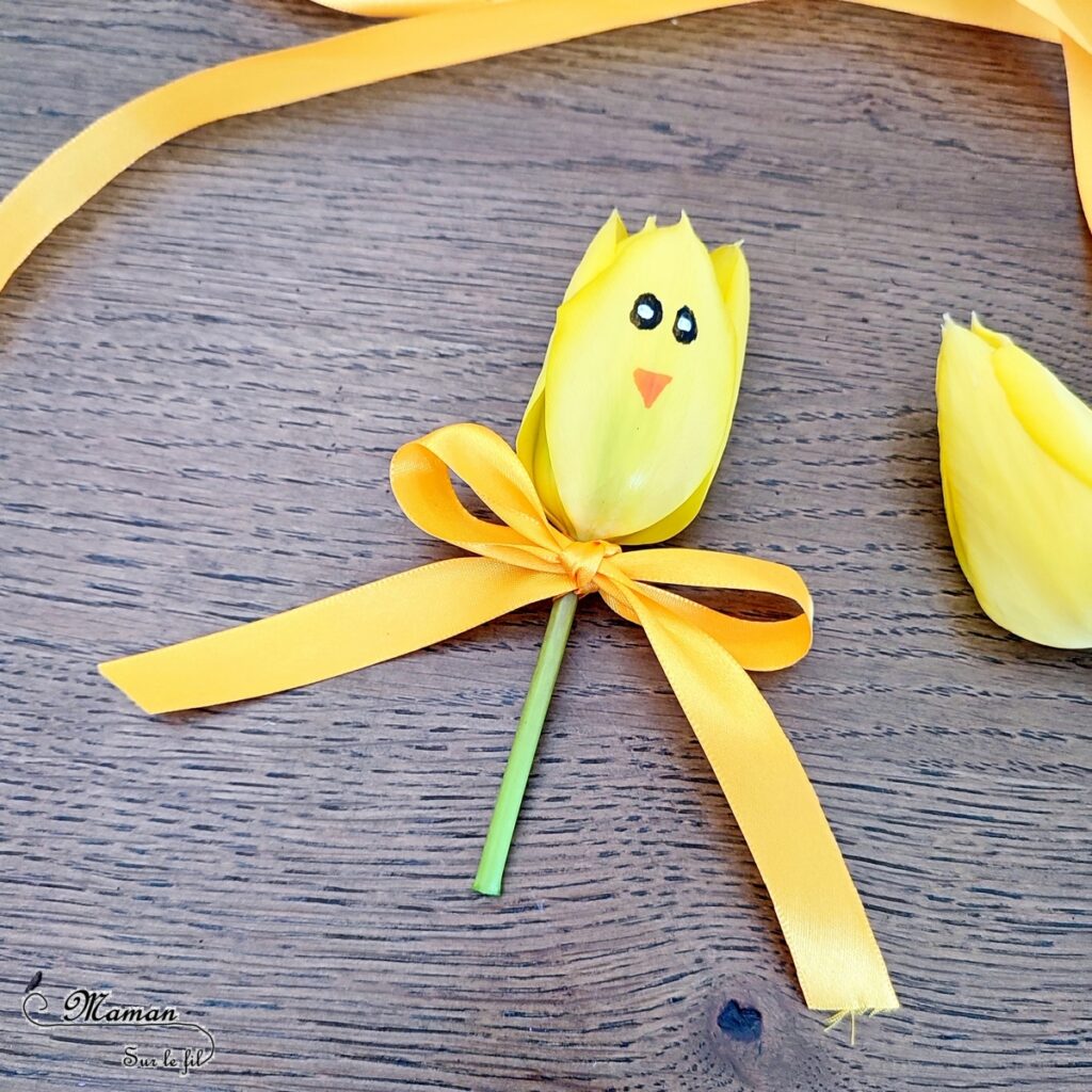 Créer des tulipes Poussins à offrir : activité créative, nature et manuelle enfants - Dessin sur une tulipe jaune pour créer un visage de poussin - noeud avec un ruban pour offrir la fleur - Transition entre printemps et Pâques - Land Art - Fleurs du jardin - Décoration - Jardinage - Arts visuels et Bricolage - Thème Pâques, fleurs, jardin, printemps et animaux de la ferme - Bricolage facile et rapide - Arts visuels et atelier Maternelle et élémentaire - Créativité - Cycle 1 ou 2 - tutoriel photos - mslf