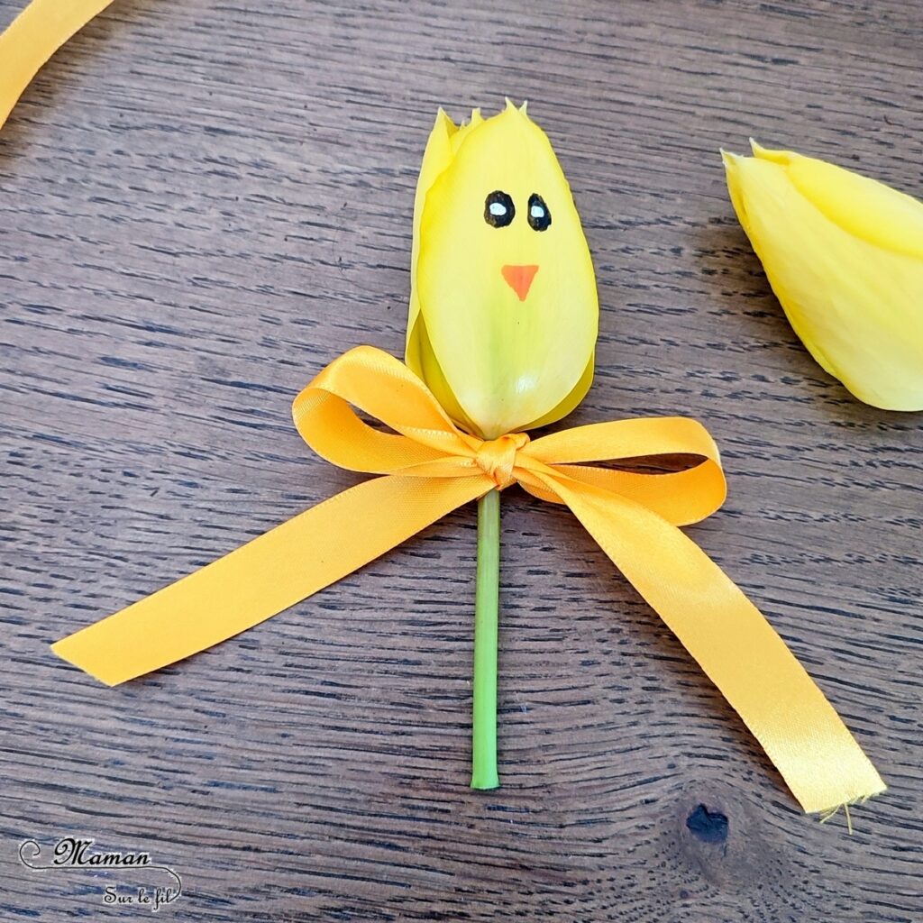 Créer des tulipes Poussins à offrir : activité créative, nature et manuelle enfants - Dessin sur une tulipe jaune pour créer un visage de poussin - noeud avec un ruban pour offrir la fleur - Transition entre printemps et Pâques - Land Art - Fleurs du jardin - Décoration - Jardinage - Arts visuels et Bricolage - Thème Pâques, fleurs, jardin, printemps et animaux de la ferme - Bricolage facile et rapide - Arts visuels et atelier Maternelle et élémentaire - Créativité - Cycle 1 ou 2 - tutoriel photos - mslf