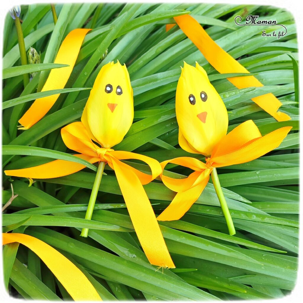 Créer des tulipes Poussins à offrir : activité créative, nature et manuelle enfants - Dessin sur une tulipe jaune pour créer un visage de poussin - noeud avec un ruban pour offrir la fleur - Transition entre printemps et Pâques - Land Art - Fleurs du jardin - Décoration - Jardinage - Arts visuels et Bricolage - Thème Pâques, fleurs, jardin, printemps et animaux de la ferme - Bricolage facile et rapide - Arts visuels et atelier Maternelle et élémentaire - Créativité - Cycle 1 ou 2 - tutoriel photos - mslf