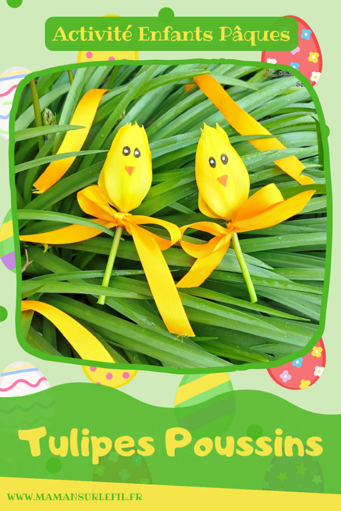 Créer des tulipes Poussins à offrir : activité créative, nature et manuelle enfants - Dessin sur une tulipe jaune pour créer un visage de poussin - noeud avec un ruban pour offrir la fleur - Transition entre printemps et Pâques - Land Art - Fleurs du jardin - Décoration - Jardinage - Arts visuels et Bricolage - Thème Pâques, fleurs, jardin, printemps et animaux de la ferme - Bricolage facile et rapide - Arts visuels et atelier Maternelle et élémentaire - Créativité - Cycle 1 ou 2 - tutoriel photos - mslf