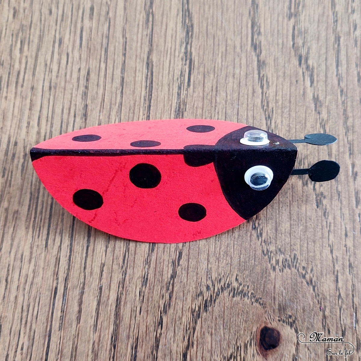 Bricolage Insecte Maternellenull