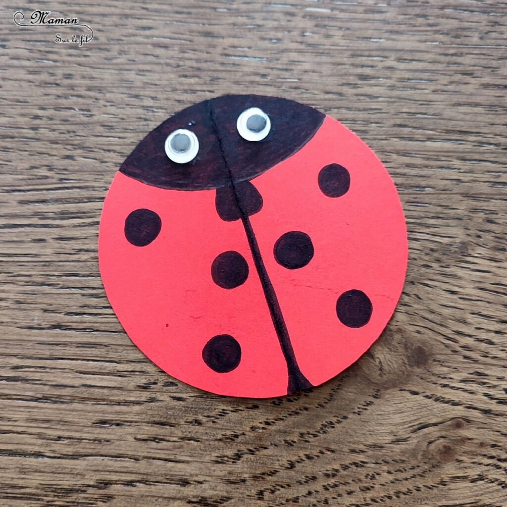 Fabriquer des coccinelles Culbuto en papier : activité créative, rigolote et manuelle enfants - A partir d'un cercle de papier rouge - Compas, géométrie, découpage, dessin - Coccinelles qui se balancent - Bricolage simple, sympa et ludique - Arts visuels Maternelle et cycle 2 - Thème Insectes et petites bêtes, jardin, printemps - Arts visuels et atelier Maternelle et élémentaire - Créativité - Cycle 1 ou 2 - tutoriel photos et vidéo - mslf