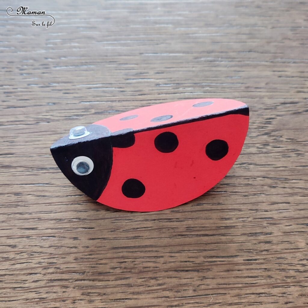 Fabriquer des coccinelles Culbuto en papier : activité créative, rigolote et manuelle enfants - A partir d'un cercle de papier rouge - Compas, géométrie, découpage, dessin - Coccinelles qui se balancent - Bricolage simple, sympa et ludique - Arts visuels Maternelle et cycle 2 - Thème Insectes et petites bêtes, jardin, printemps - Arts visuels et atelier Maternelle et élémentaire - Créativité - Cycle 1 ou 2 - tutoriel photos et vidéo - mslf