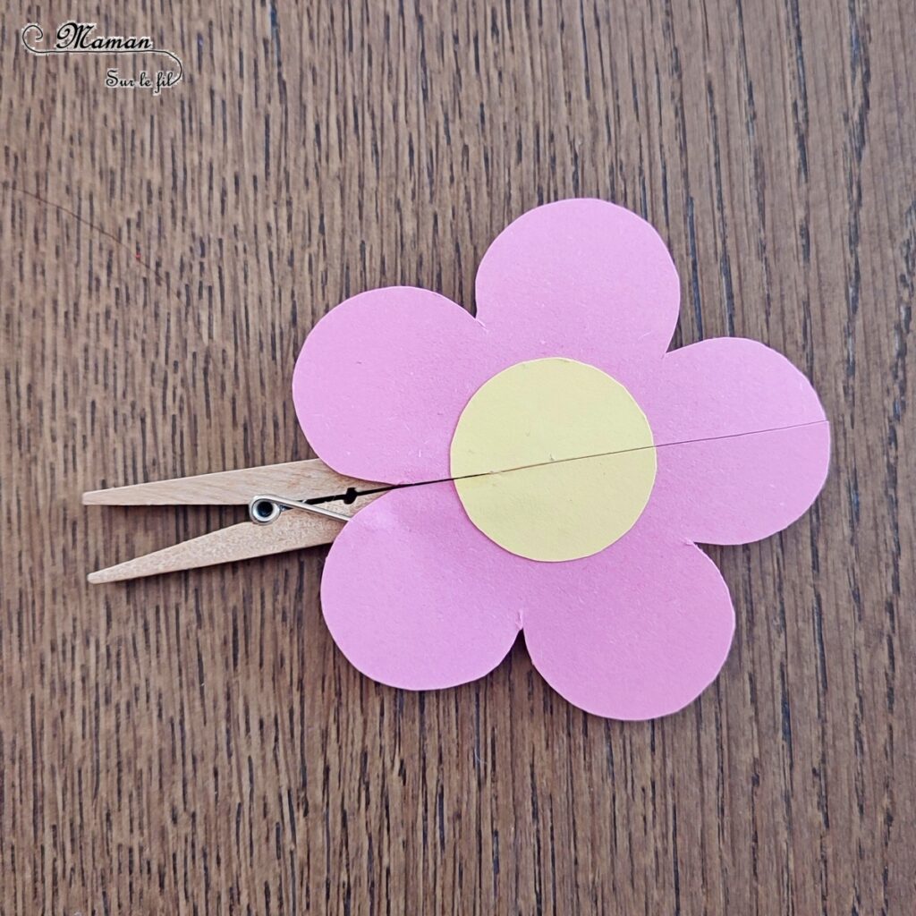 Fabriquer une fleur qui s'ouvre et laisse apparaître un insecte caché : activité créative, rigolote et manuelle enfants - A partir d'une pince à linge et de papier - Découpage, collage - Abeille, coccinelle, chenille - Bricolage sympa et ludique - Travail de la pince Pouce-Index, musculation des doigts, motricité fine - Arts visuels Maternelle et cycle 2 - Thème Insectes et petites bêtes, jardin, printemps, fleurs - Arts visuels et atelier Maternelle et élémentaire - Créativité - Cycle 1 ou 2 - tutoriel photos et vidéo - mslf