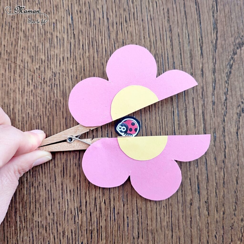 Fabriquer une fleur qui s'ouvre et laisse apparaître un insecte caché : activité créative, rigolote et manuelle enfants - A partir d'une pince à linge et de papier - Découpage, collage - Abeille, coccinelle, chenille - Bricolage sympa et ludique - Travail de la pince Pouce-Index, musculation des doigts, motricité fine - Arts visuels Maternelle et cycle 2 - Thème Insectes et petites bêtes, jardin, printemps, fleurs - Arts visuels et atelier Maternelle et élémentaire - Créativité - Cycle 1 ou 2 - tutoriel photos et vidéo - mslf