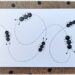 Créer des fourmis avec des boutons : activité créative, récup' et manuelle enfants - Dessin, graphismes, pointillés - Collage de boutons - Petit tableau rapide tout en noir et blanc - Bricolage sympa et facile - Arts visuels Maternelle et cycle 2 - Thème Insectes et petites bêtes, jardin, printemps - Arts visuels et atelier Maternelle et élémentaire - Créativité - Cycle 1 ou 2 - tutoriel photos - mslf