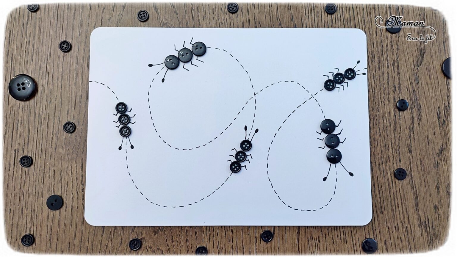 Fourmis noires avec des boutons {Activité} - Maman Sur Le Fil