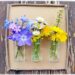 Créer un tableau à fleurir à volonté et au fil des saisons en récup' : activité créative, récup' et manuelle enfants - Tableau en carton, cadre avec des branches, accroche avec de la corde, mini vases avec des petits bocaux en verre (recyclage de boites de médicaments) - A remplir et décorer en fonction des saisons - Surcyclage, recyclage - Décoration - Arts visuels et Bricolage - Thème Fleurs, jardin, printemps, Land art - Bricolage facile et rapide - Arts visuels et atelier Maternelle et élémentaire - Créativité - Cycle 1 ou 2 - tutoriel photos - mslf