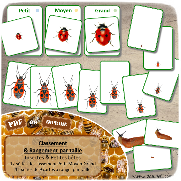 Jeu de classement, de rangement et de tri par taille - Insectes et Petites bêtes - Cartes à trier, à classer et à ranger - Petit Moyen Grand - Petites bêtes du jardin pour le printemps - fichier PDF à télécharger et à imprimer ou jeu imprimé - atelier autocorrectif maternelle et pré-scolaire - lslf