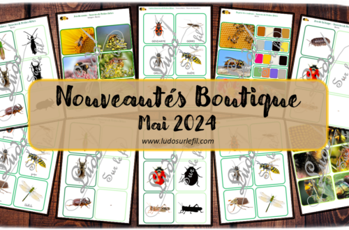Nouveautés mai 2024 - Boutique en ligne Ludo sur le fil - fichiers jeux pdf à télécharger et imprimer ou jeux imprimés envoyés à domicile - Thèmes Insectes et petites bêtes, printemps - Jeu des ombres, de la loupe, cartes de type Montessori, classifiées de nomenclature, tickets de lecture, repère les couleurs, jeu du zoom - Photos, discrimination visuelle, association, mise en paire, lecture - jeux, activités - atelier autocorrectif multi niveaux donc progressif - Vocabulaire, lexique - Maternelle Cycle 2 - Autonomie - mslf