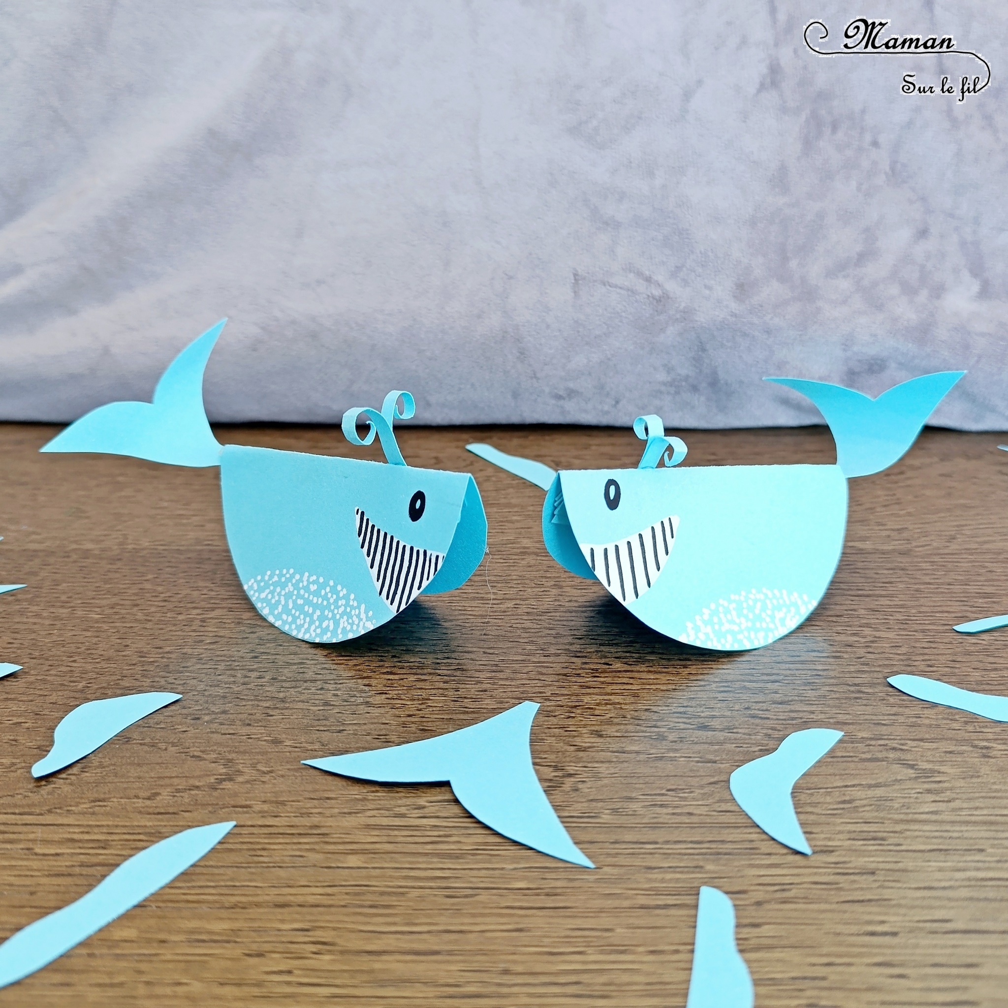 Fabriquer des baleines Culbuto en papier : activité créative et manuelle enfants - Bricolage facile et rapide à partir de papier - Baleines qui dansent et se balancent - Géométrie, cercle, compas - Découpage, dessin - Thème animaux marins, poissons, été, aquarium, mer, océan, 1er avril - Bricolage sympa et facile - Arts visuels Maternelle et cycle 2 - Arts visuels et atelier Maternelle et élémentaire - Créativité - Cycle 1 ou 2 - tutoriel photos et vidéo - mslf
