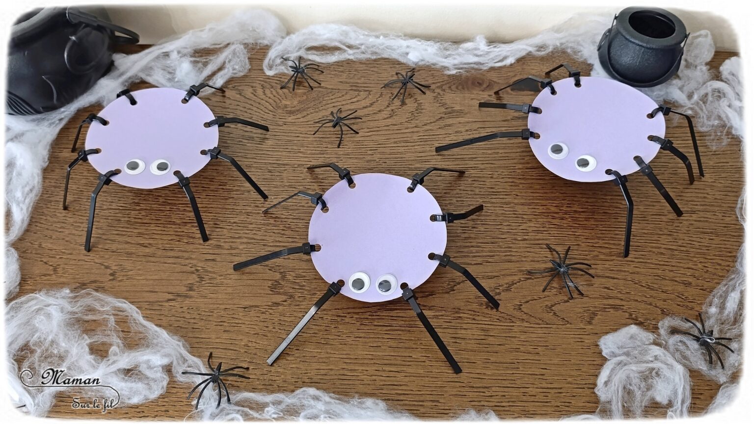Bricolage Araignee Maternelle