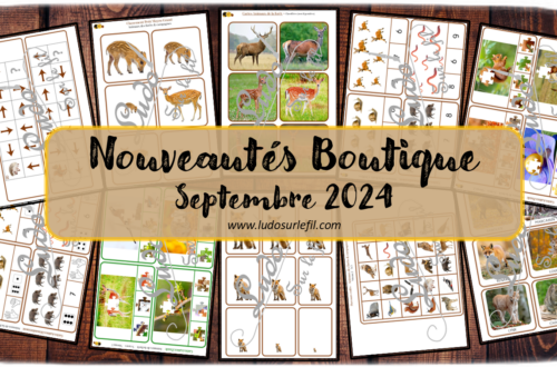 Nouveautés septembre 2024 - Boutique en ligne Ludo sur le fil - fichiers jeux pdf à télécharger et imprimer ou jeux imprimés envoyés à domicile - Thèmes Animaux de la forêt et des campagnes, nature, automne - cartes à pince, dénombrement, puzzles, cartes montessori, nomenclature, classifiées, parcours codés, tri, classement, rangement par taille, discrimination visuelle - Photos - Association, mise en paire, lecture - jeux, activités - atelier autocorrectif multi niveaux donc progressif - Vocabulaire, lexique - Maternelle Cycle 2 - Autonomie - mslf