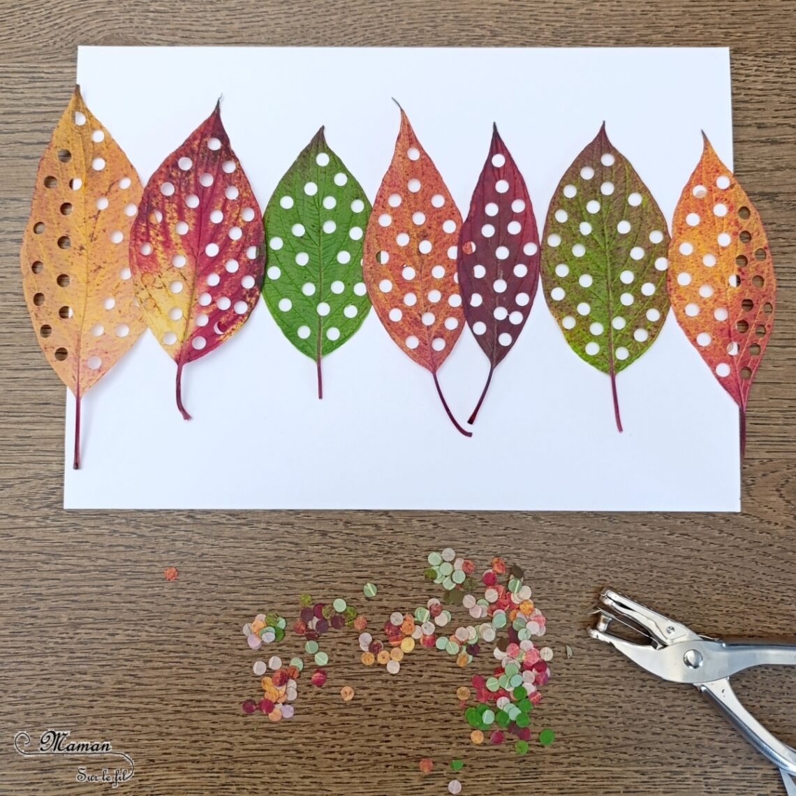 For t D automne Avec Des Feuilles Perfor es Activit Maman Sur Le Fil for-t-d-automne-avec-des-feuilles-perfor-es-activit-maman-sur-le-fil