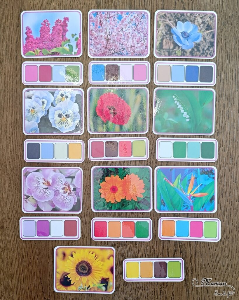 Fabriquer des fleurs avec des feuilles d'essuie-tout + activités de classement par couleurs : activité créative, nature, pédagogique et manuelle enfants - Tracé et découpage de cercles dans du Sopaline - Coloriage des bords aux feutres - Application d'eau au pinceau - Coeur fait avec un bouton -Chasse aux couleurs dans le jardin (fleurs, feuilles, trèfles, herbes...) - Land art et nature - Cartes avec Photos de fleurs à classer par couleur pour compléter - Jeu Repère les couleurs pour les plus grands - Jeux PDF à imprimer Simple, coloré et joli - Thème Fleurs, printemps, couleurs - Bricolage et décoration sympa et facile - Arts visuels maternelle et élémentaire - Cycles 1 et 2 - Créativité - tutoriel photos - mslf