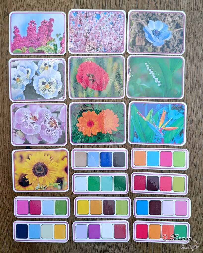 Fabriquer des fleurs avec des feuilles d'essuie-tout + activités de classement par couleurs : activité créative, nature, pédagogique et manuelle enfants - Tracé et découpage de cercles dans du Sopaline - Coloriage des bords aux feutres - Application d'eau au pinceau - Coeur fait avec un bouton -Chasse aux couleurs dans le jardin (fleurs, feuilles, trèfles, herbes...) - Land art et nature - Cartes avec Photos de fleurs à classer par couleur pour compléter - Jeu Repère les couleurs pour les plus grands - Jeux PDF à imprimer Simple, coloré et joli - Thème Fleurs, printemps, couleurs - Bricolage et décoration sympa et facile - Arts visuels maternelle et élémentaire - Cycles 1 et 2 - Créativité - tutoriel photos - mslf