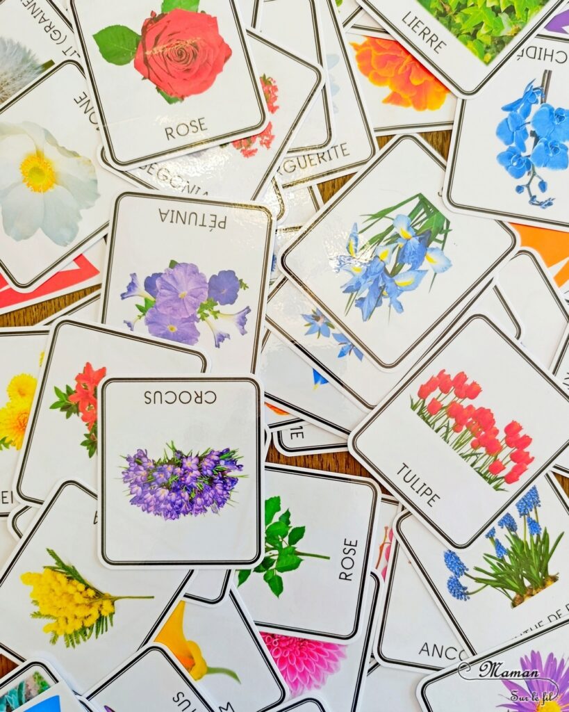 Fabriquer des fleurs avec des feuilles d'essuie-tout + activités de classement par couleurs : activité créative, nature, pédagogique et manuelle enfants - Tracé et découpage de cercles dans du Sopaline - Coloriage des bords aux feutres - Application d'eau au pinceau - Coeur fait avec un bouton -Chasse aux couleurs dans le jardin (fleurs, feuilles, trèfles, herbes...) - Land art et nature - Cartes avec Photos de fleurs à classer par couleur pour compléter - Jeu Repère les couleurs pour les plus grands - Jeux PDF à imprimer Simple, coloré et joli - Thème Fleurs, printemps, couleurs - Bricolage et décoration sympa et facile - Arts visuels maternelle et élémentaire - Cycles 1 et 2 - Créativité - tutoriel photos - mslf
