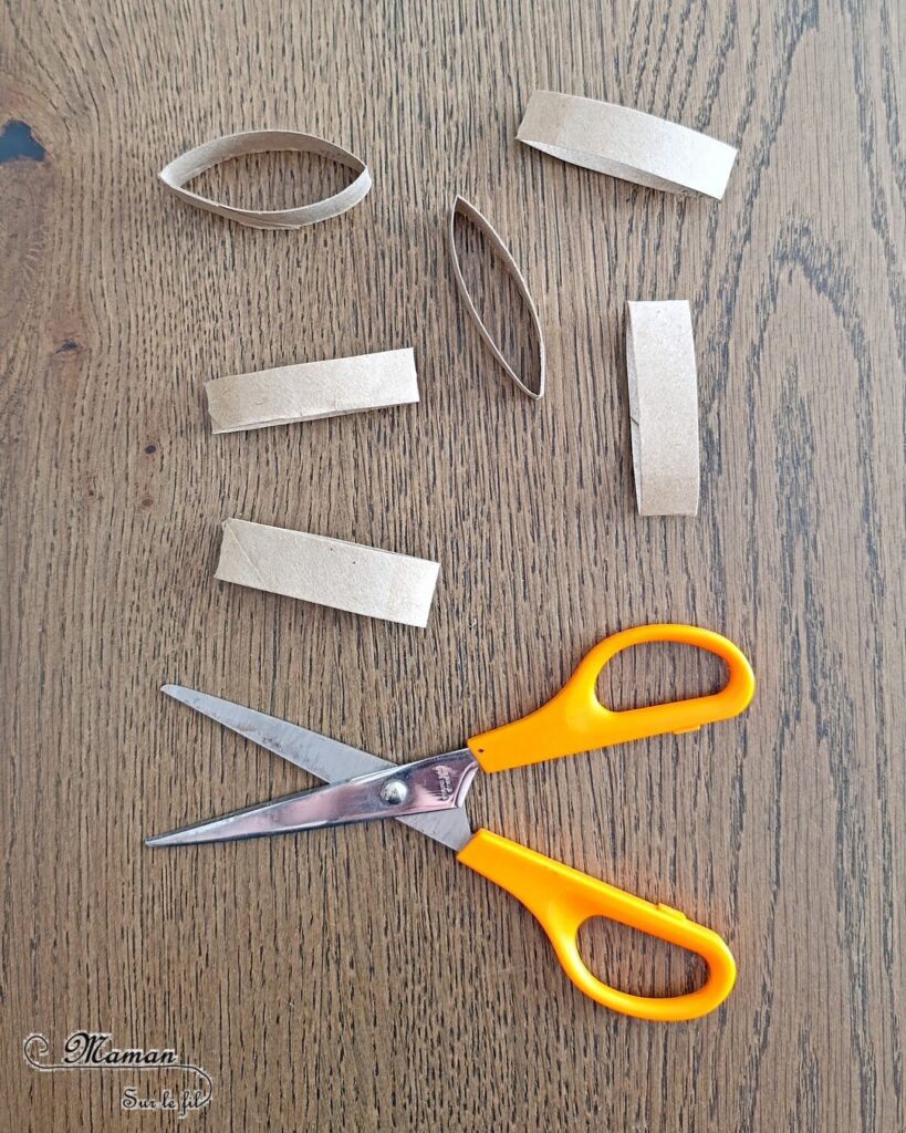 Créer un papillon coloré en récup' de rouleaux de papier toilette et peinture : activité créative, recyclage et manuelle enfants - Bandes de rouleaux de PQ en carton découpées et collées sur une feuille - Aide pour peindre le papillon - Découverte de la symétrie - Thème Insectes et petites bêtes, printemps - Bricolage et décoration sympa et facile - Arts visuels maternelle et élémentaire - Cycles 1 et 2 - Créativité - tutoriel photos et vidéo - mslf