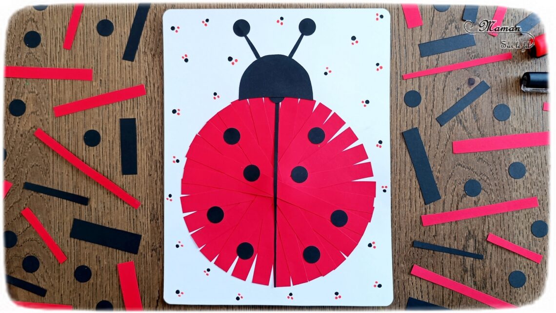 Créer une coccinelle en collage de bandes de papier : activité créative et manuelle enfants - Géométrie avec utilisation de la règle et du compas - Découpage, collage, perforatrice rond - Dessins et graphismes - Thème Insectes et petites bêtes, printemps - Bricolage et décoration sympa et facile - Arts visuels maternelle et élémentaire - Cycles 1 et 2 - Créativité - tutoriel photos - mslf