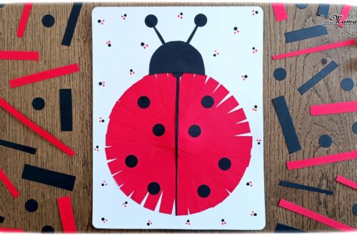 Créer une coccinelle en collage de bandes de papier : activité créative et manuelle enfants - Géométrie avec utilisation de la règle et du compas - Découpage, collage, perforatrice rond - Dessins et graphismes - Thème Insectes et petites bêtes, printemps - Bricolage et décoration sympa et facile - Arts visuels maternelle et élémentaire - Cycles 1 et 2 - Créativité - tutoriel photos - mslf