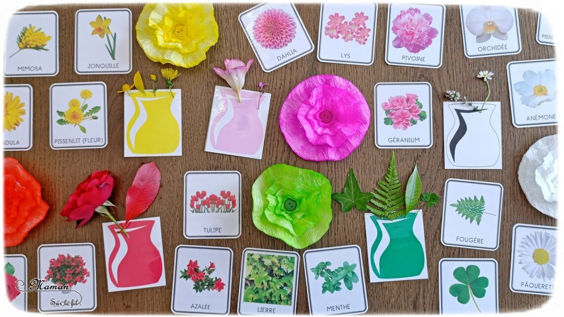 Fabriquer des fleurs avec des feuilles d'essuie-tout + activités de classement par couleurs : activité créative, nature, pédagogique et manuelle enfants - Tracé et découpage de cercles dans du Sopaline - Coloriage des bords aux feutres - Application d'eau au pinceau - Coeur fait avec un bouton -Chasse aux couleurs dans le jardin (fleurs, feuilles, trèfles, herbes...) - Land art et nature - Cartes avec Photos de fleurs à classer par couleur pour compléter - Jeu Repère les couleurs pour les plus grands - Jeux PDF à imprimer Simple, coloré et joli - Thème Fleurs, printemps, couleurs - Bricolage et décoration sympa et facile - Arts visuels maternelle et élémentaire - Cycles 1 et 2 - Créativité - tutoriel photos - mslf