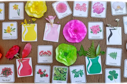 Fabriquer des fleurs avec des feuilles d'essuie-tout + activités de classement par couleurs : activité créative, nature, pédagogique et manuelle enfants - Tracé et découpage de cercles dans du Sopaline - Coloriage des bords aux feutres - Application d'eau au pinceau - Coeur fait avec un bouton -Chasse aux couleurs dans le jardin (fleurs, feuilles, trèfles, herbes...) - Land art et nature - Cartes avec Photos de fleurs à classer par couleur pour compléter - Jeu Repère les couleurs pour les plus grands - Jeux PDF à imprimer Simple, coloré et joli - Thème Fleurs, printemps, couleurs - Bricolage et décoration sympa et facile - Arts visuels maternelle et élémentaire - Cycles 1 et 2 - Créativité - tutoriel photos - mslf