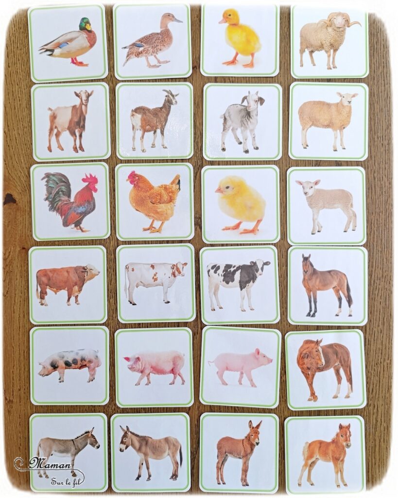Gribouiller ou dessiner des moutons multicolores : activité créative, dessin et manuelle enfants - Gribouillage aux crayons de couleur - Dessins de boucles de couleurs - Dessin des détails au feutre fin noir - Cartes type Montessori Animaux de la ferme - Association photos fond blanc, fond réel, figurines - Reconstitue les familles : mâles, femelles, bébés - Simple, coloré et joli - Thème Pâques, printemps, animaux de la ferme - Bricolage et décoration sympa et facile - Arts visuels maternelle et élémentaire - Cycles 1 et 2 - Créativité - tutoriel photos - mslf