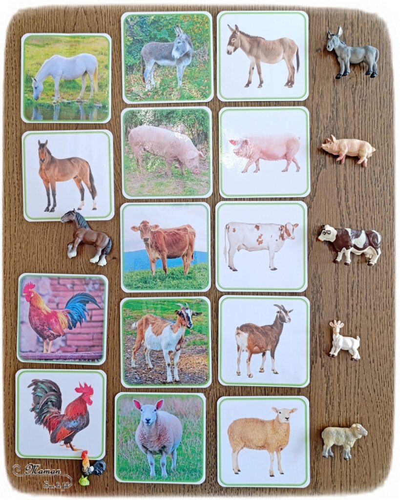 Gribouiller ou dessiner des moutons multicolores : activité créative, dessin et manuelle enfants - Gribouillage aux crayons de couleur - Dessins de boucles de couleurs - Dessin des détails au feutre fin noir - Cartes type Montessori Animaux de la ferme - Association photos fond blanc, fond réel, figurines - Reconstitue les familles : mâles, femelles, bébés - Simple, coloré et joli - Thème Pâques, printemps, animaux de la ferme - Bricolage et décoration sympa et facile - Arts visuels maternelle et élémentaire - Cycles 1 et 2 - Créativité - tutoriel photos - mslf