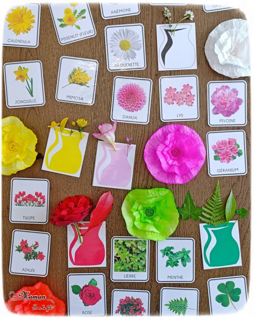 Fabriquer des fleurs avec des feuilles d'essuie-tout + activités de classement par couleurs : activité créative, nature, pédagogique et manuelle enfants - Tracé et découpage de cercles dans du Sopaline - Coloriage des bords aux feutres - Application d'eau au pinceau - Coeur fait avec un bouton -Chasse aux couleurs dans le jardin (fleurs, feuilles, trèfles, herbes...) - Land art et nature - Cartes avec Photos de fleurs à classer par couleur pour compléter - Jeu Repère les couleurs pour les plus grands - Jeux PDF à imprimer Simple, coloré et joli - Thème Fleurs, printemps, couleurs - Bricolage et décoration sympa et facile - Arts visuels maternelle et élémentaire - Cycles 1 et 2 - Créativité - tutoriel photos - mslf