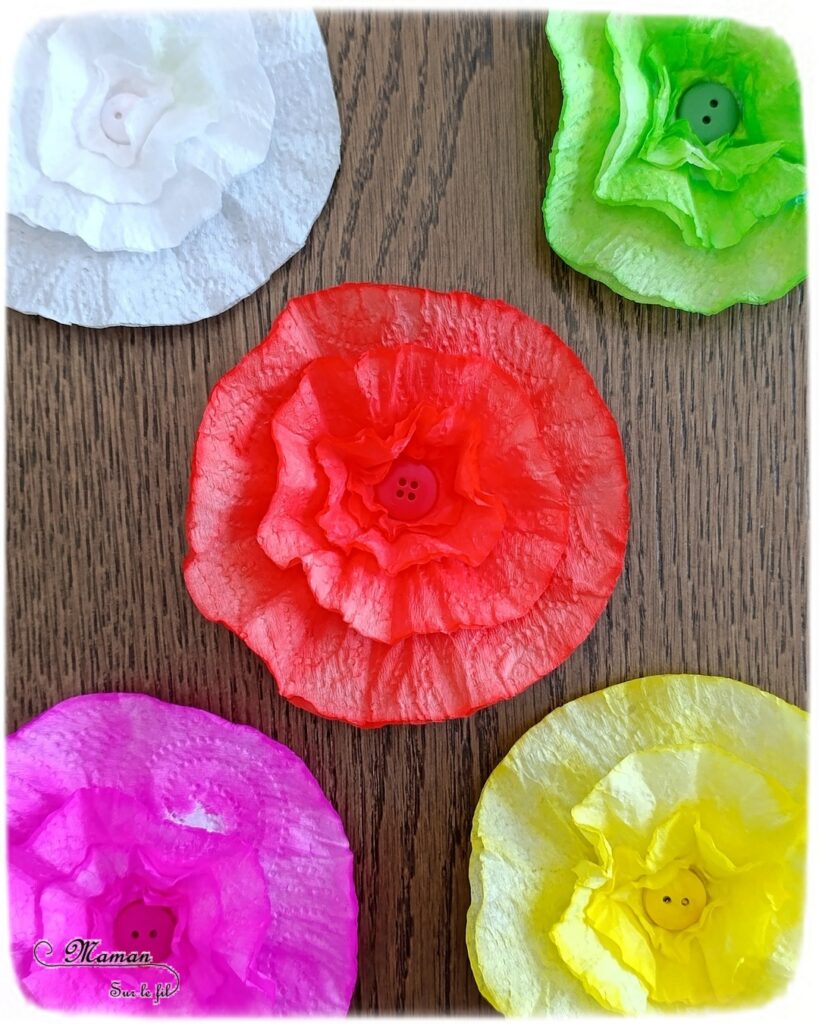 Fabriquer des fleurs avec des feuilles d'essuie-tout + activités de classement par couleurs : activité créative, nature, pédagogique et manuelle enfants - Tracé et découpage de cercles dans du Sopaline - Coloriage des bords aux feutres - Application d'eau au pinceau - Coeur fait avec un bouton -Chasse aux couleurs dans le jardin (fleurs, feuilles, trèfles, herbes...) - Land art et nature - Cartes avec Photos de fleurs à classer par couleur pour compléter - Jeu Repère les couleurs pour les plus grands - Jeux PDF à imprimer Simple, coloré et joli - Thème Fleurs, printemps, couleurs - Bricolage et décoration sympa et facile - Arts visuels maternelle et élémentaire - Cycles 1 et 2 - Créativité - tutoriel photos - mslf