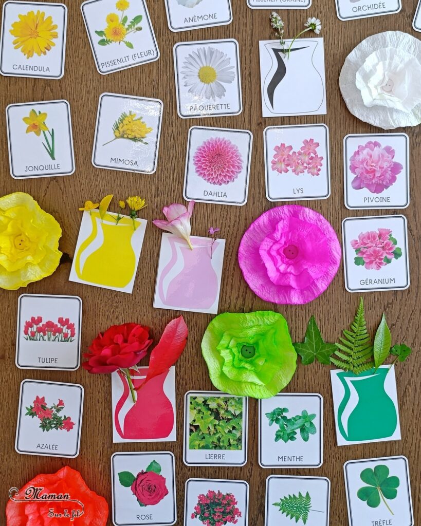 Fabriquer des fleurs avec des feuilles d'essuie-tout + activités de classement par couleurs : activité créative, nature, pédagogique et manuelle enfants - Tracé et découpage de cercles dans du Sopaline - Coloriage des bords aux feutres - Application d'eau au pinceau - Coeur fait avec un bouton -Chasse aux couleurs dans le jardin (fleurs, feuilles, trèfles, herbes...) - Land art et nature - Cartes avec Photos de fleurs à classer par couleur pour compléter - Jeu Repère les couleurs pour les plus grands - Jeux PDF à imprimer Simple, coloré et joli - Thème Fleurs, printemps, couleurs - Bricolage et décoration sympa et facile - Arts visuels maternelle et élémentaire - Cycles 1 et 2 - Créativité - tutoriel photos - mslf