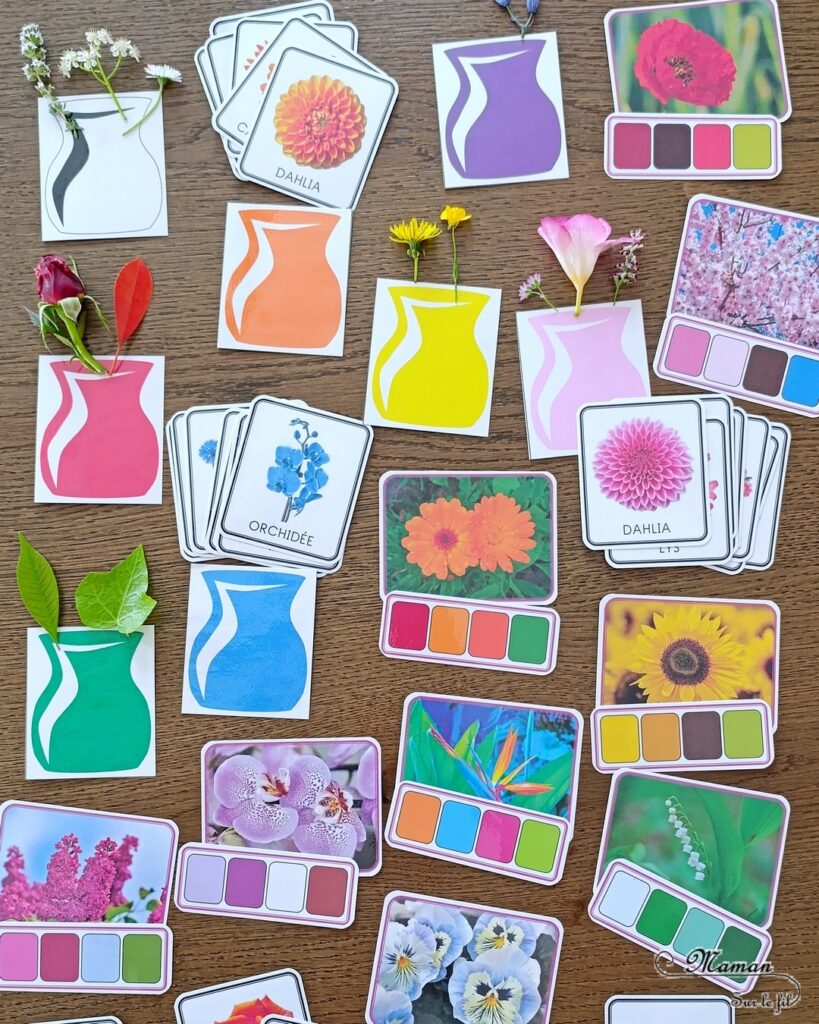 Fabriquer des fleurs avec des feuilles d'essuie-tout + activités de classement par couleurs : activité créative, nature, pédagogique et manuelle enfants - Tracé et découpage de cercles dans du Sopaline - Coloriage des bords aux feutres - Application d'eau au pinceau - Coeur fait avec un bouton -Chasse aux couleurs dans le jardin (fleurs, feuilles, trèfles, herbes...) - Land art et nature - Cartes avec Photos de fleurs à classer par couleur pour compléter - Jeu Repère les couleurs pour les plus grands - Jeux PDF à imprimer Simple, coloré et joli - Thème Fleurs, printemps, couleurs - Bricolage et décoration sympa et facile - Arts visuels maternelle et élémentaire - Cycles 1 et 2 - Créativité - tutoriel photos - mslf