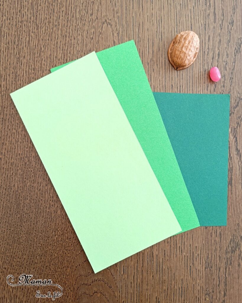 Fabriquer un petit avocat mignon et son bébé : activité créative, récup et manuelle enfants - Recyclage, surcyclage d'une coquille de noix pour le noyau - Découpage et collage de papier - Petite surprise cachée dans son ventre : bonbon, pompons, bébé avocat - Land Art et Nature - Thème Fruits et légumes, potager, printemps, été - Bricolage et décoration sympa et facile - Arts visuels maternelle et élémentaire - Cycles 1 et 2 - Créativité - tutoriel photos et vidéo - mslf