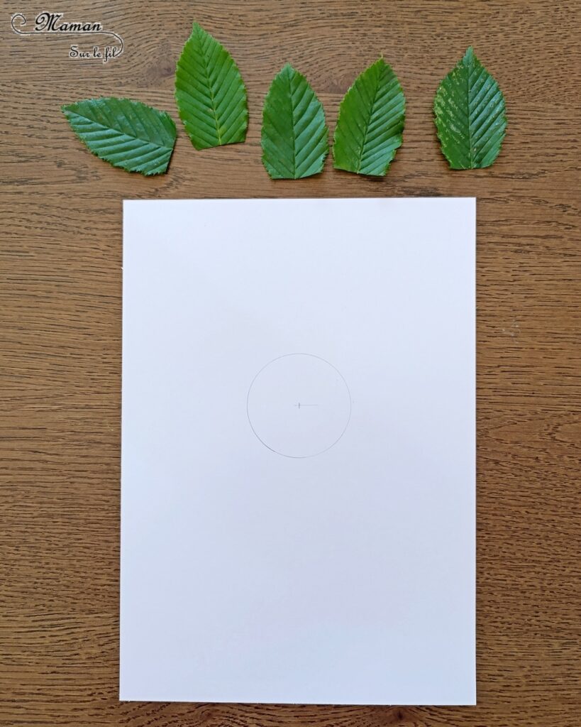 Peindre un tournesol avec des empreintes de feuilles : activité créative, peinture et manuelle enfants - Peinture avec des éléments de la nature - Empreintes de feuilles faites avec de la gouache en stick - Papier à bulles pour le coeur du tournesol - Dessin et graphismes - Land Art et Nature - Thème Fleurs, printemps, été, soleil - Bricolage et décoration sympa et facile - Arts visuels maternelle et élémentaire - Cycles 1 et 2 - Créativité - tutoriel photos et vidéo - mslf