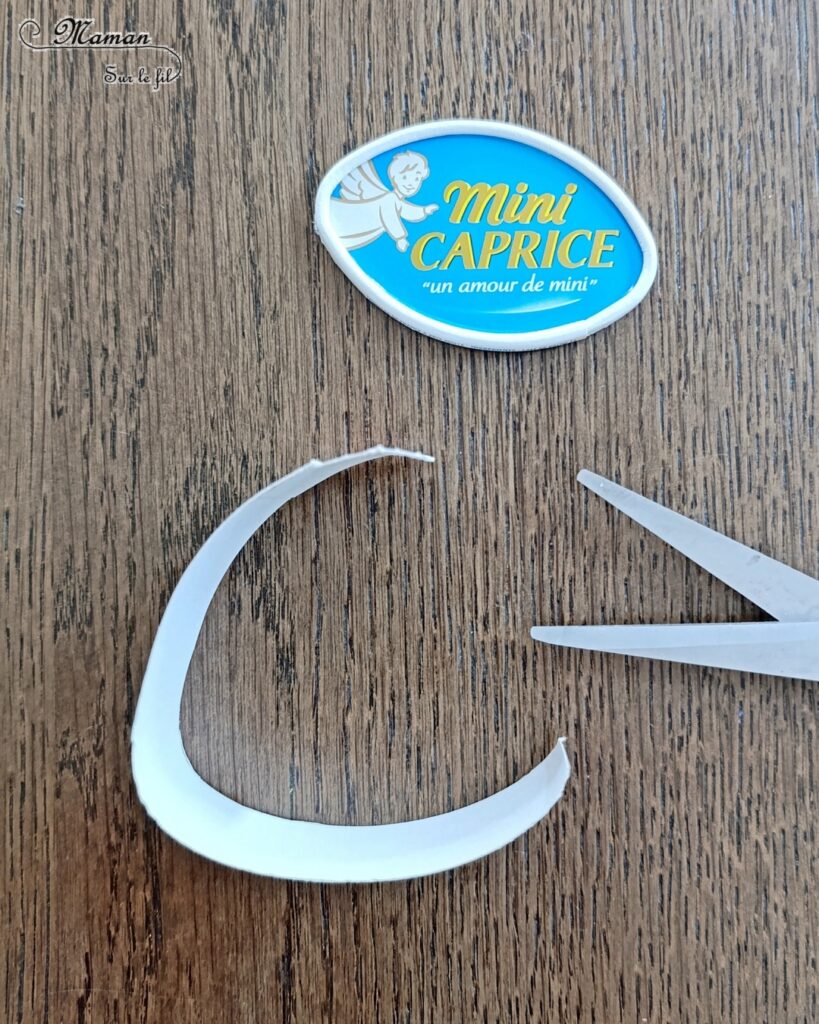 Créer des poissons en récup' de boites à fromage de type Caprice des dieux : activité créative, récup' et manuelle enfants - Recyclage et surcyclage de boites de fromage Caprice des dieux version Mini - Queue et nageoire des poissons avec des napperons - Coeurs et amour -Découpage et collage - Bricolage facile et rigolo - Gommettes Yeux - Thème poissons, animaux marins, mer, océans, été, 1er avril, amour, saint-valentin - Bricolage et décoration sympa et facile - Arts visuels maternelle et élémentaire - Cycles 1 et 2 - Créativité - tutoriel photos - mslf