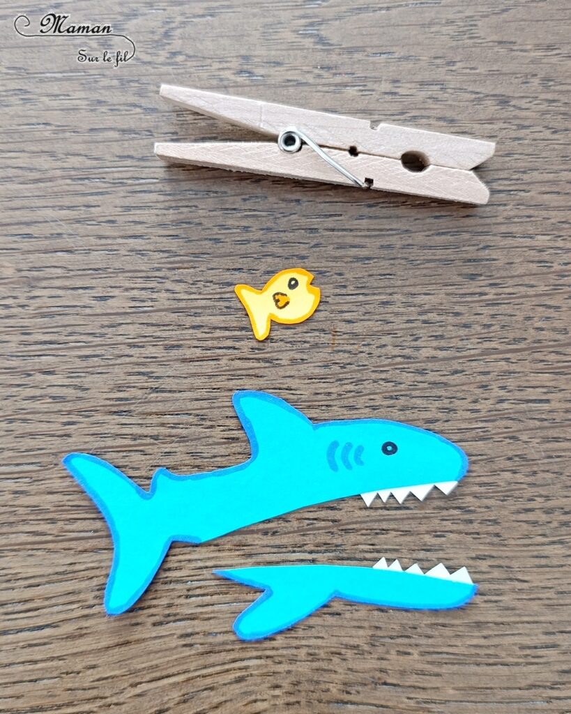 Fabriquer un requin Pince à linge et son petit poisson caché dans sa bouche : activité créative, rigolote et manuelle enfants - Découpage, collage, dessin - Pince à linge pour ouvrir la bouche du requin et faire apparaître un petit poisson - Muscler les petits doigts, motricité fine - Bricolage facile et rigolo - Thème animaux marins, océans, mer, été - Bricolage et décoration sympa et facile - Arts visuels maternelle et élémentaire - Cycles 1 et 2 - Créativité - tutoriel photos et vidéo - mslf