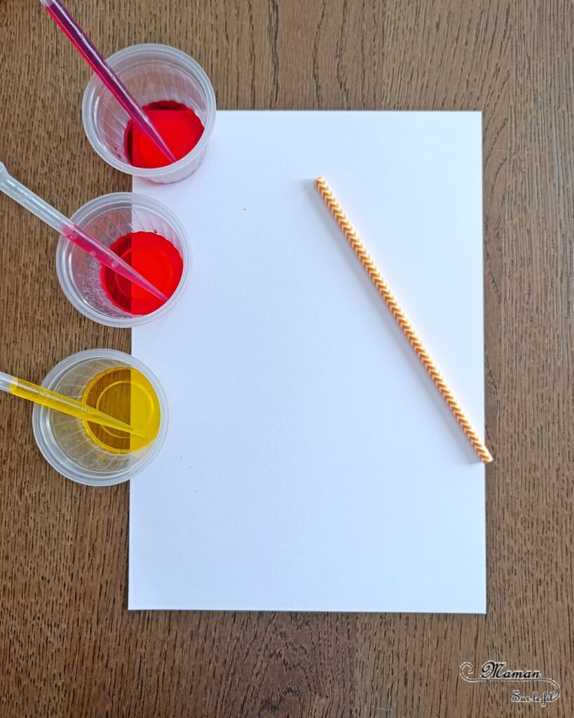 Créer un feu de camp en encre soufflée et éléments de la nature : activité créative, peinture et manuelle enfants - Technique des gouttes d'encre à dessiner soufflée à la paille - Dégradé de couleurs jaune, orange, rouge - Collage de branches de bois - Land art - Thème camping, vacances, été, colonies, camp d'été - Bricolage et décoration sympa et facile - Arts visuels maternelle et élémentaire - Cycles 1 et 2 - Créativité - tutoriel photos - mslf